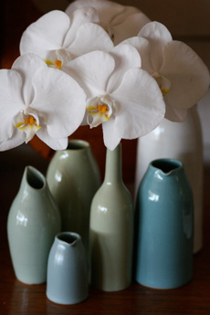 Blooms For Rooms