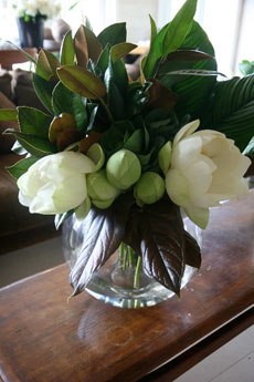 Blooms For Rooms