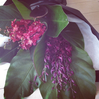 Blooms For Rooms