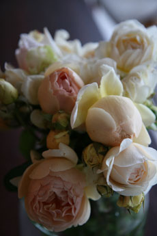 Blooms For Rooms